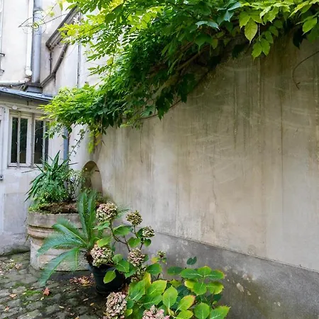 Neuf Charme & Calme Versailles
